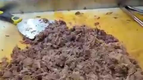 Is Birria-Landia REALLY Worth the Hype? NYC’s #1 Taco Truck Taste Test!