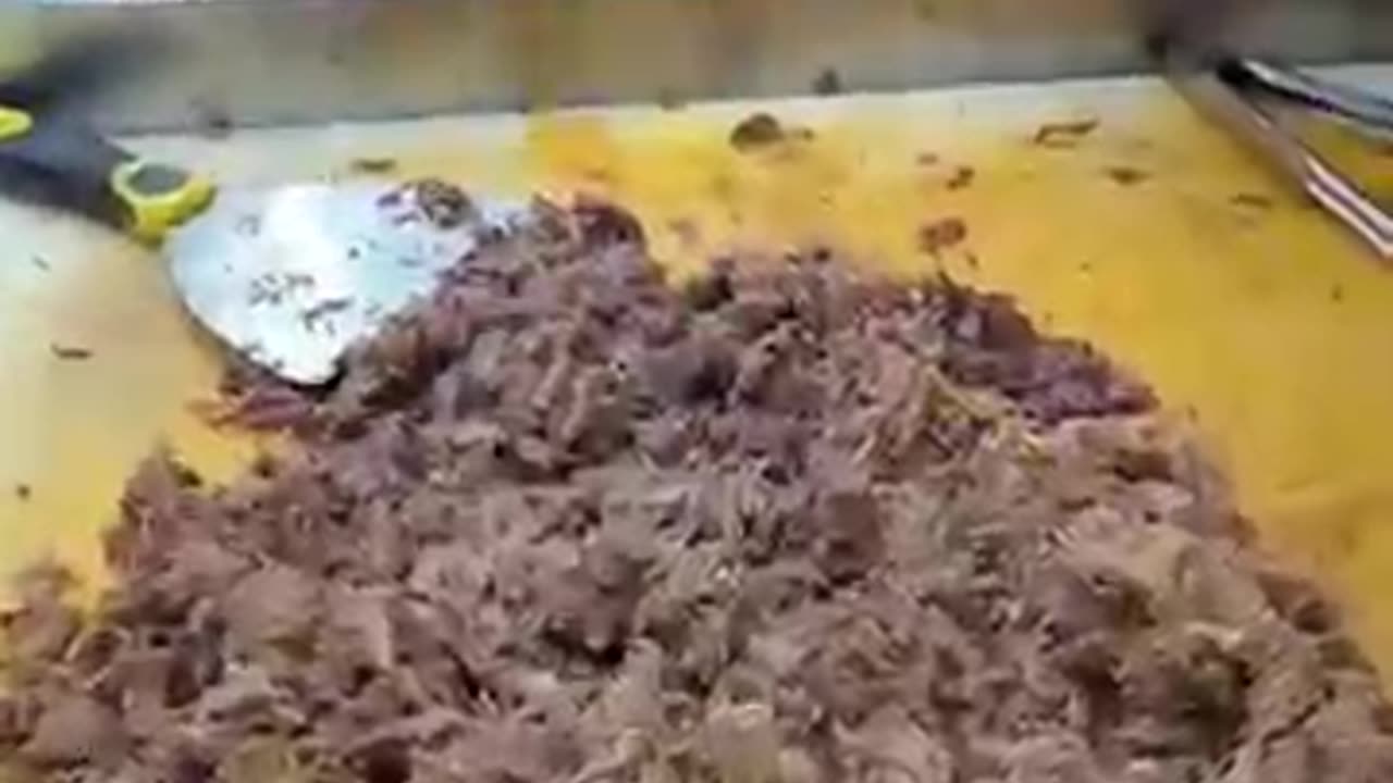 Is Birria-Landia REALLY Worth the Hype? NYC’s #1 Taco Truck Taste Test!