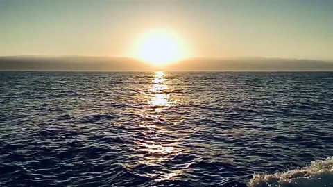 😱🌅 Unbelievable Orb Enjoying the Sunset! What Is Its Purpose? | TheHauntingHour