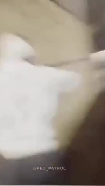 Exclusive footage of civilian PED patrol busting 2 child predators