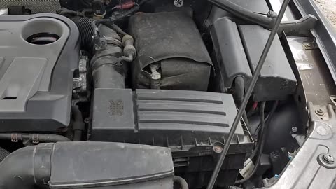 VW geek
