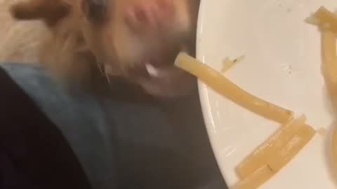 Linguine Sneak Attack