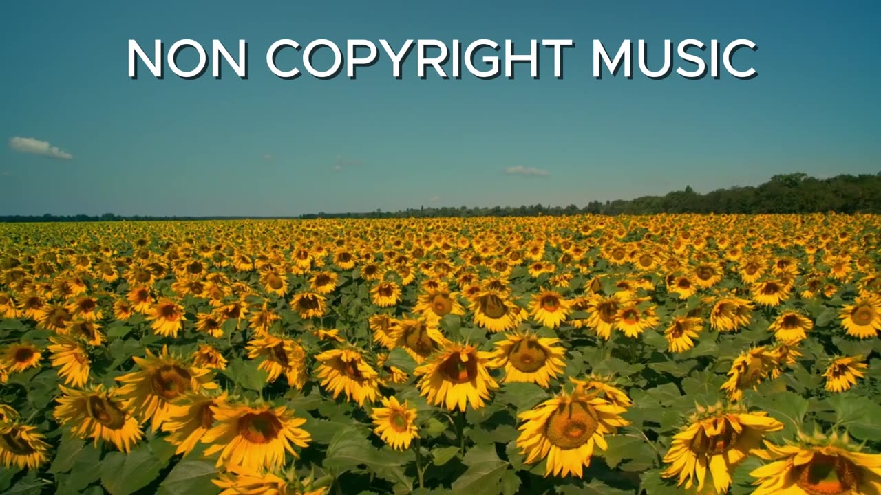 NON COPYRIGHT MUSIC