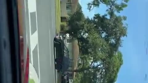 People & blogs, comedy..