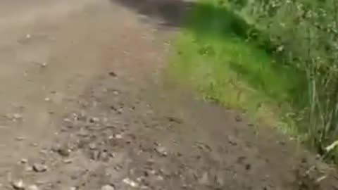 Fighters of the Russian Federation shot a car with soldiers of Ukraine