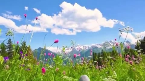 🌌 Dreamcore Videos | TheHauntingHour