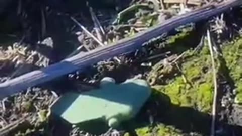 Men fought face-to-face with swords, then the Devil give them gunpowder