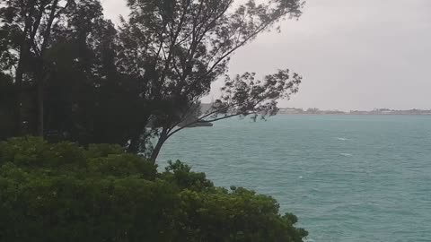 Bermuda Web Cam