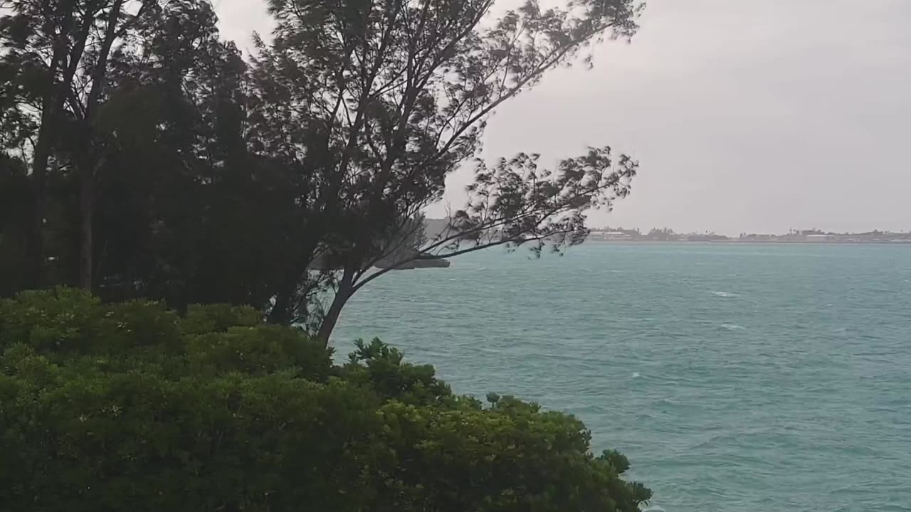 Bermuda Web Cam