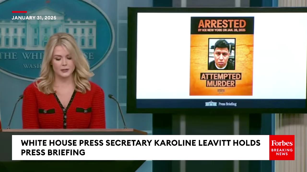 'I Have More Updates For You...'- Karoline Leavitt Highlights ICE Arrests Of Illegal Immigrants