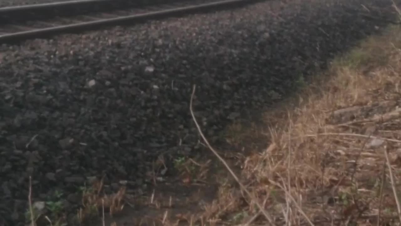 Roda-roda kereta api