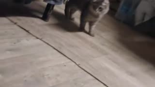 Доброе утро.