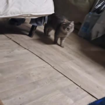 Доброе утро.