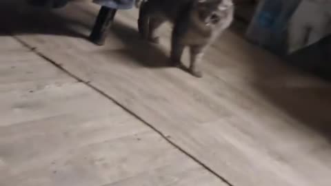 Доброе утро.