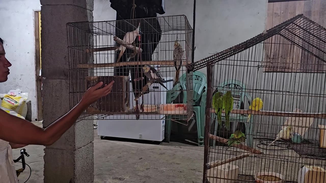 Vakantie in Brazilië 2025-2026