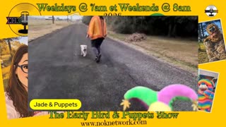 The Early Bird & Puppet Show Ep41