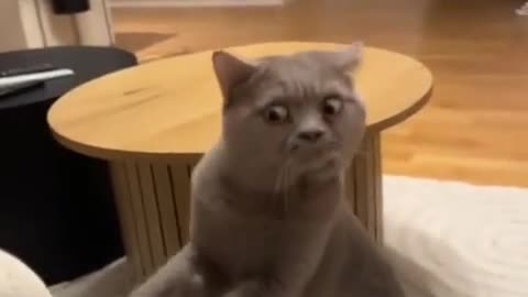 🤯📺 What's So Addictive About This? | FunFM