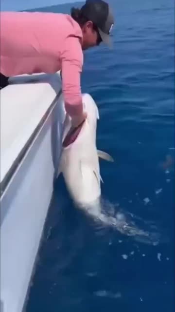 We don't need men for anything, except for everything