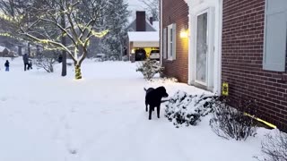 Winter storm buries Cincinnati as cold front hits Midwest