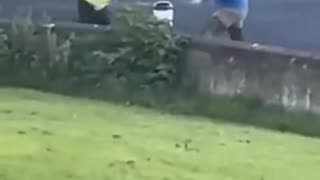 Meanwhile in Ireland today Migrants equipped with sword vs Irishman Standard.