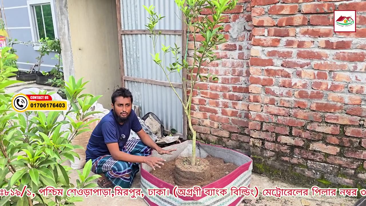 ফলের গাছের জন্য কোন ধরনের Geo Bag সবচেয়ে উপযুক্ত? 🍋 | Siraj Tech | ছাদবাগান টিপস