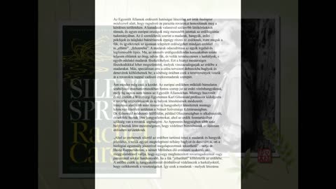 Néma tavasz - 17. fejezet - A másik út