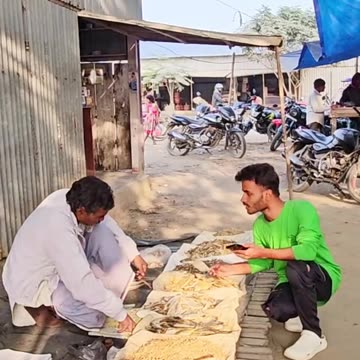 বাল্টি মাছ আনা হরেন্নাই