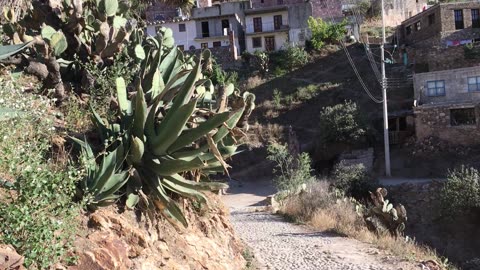 Huichol Sacred Mountain: El Cerro Quamado 2 (Real de Catorce, San Luis Potosi, Mexico)
