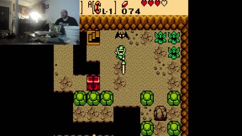 THE Legend of THE ZZEELLDDAAHH THE Underage Oral (THE Colored Gameboy)