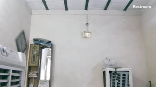 irl live stream