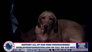 Trump AI Executive Order, CBDCs, Somali Fraud & More | Patrick Wood & Rep. Glenn Grothman