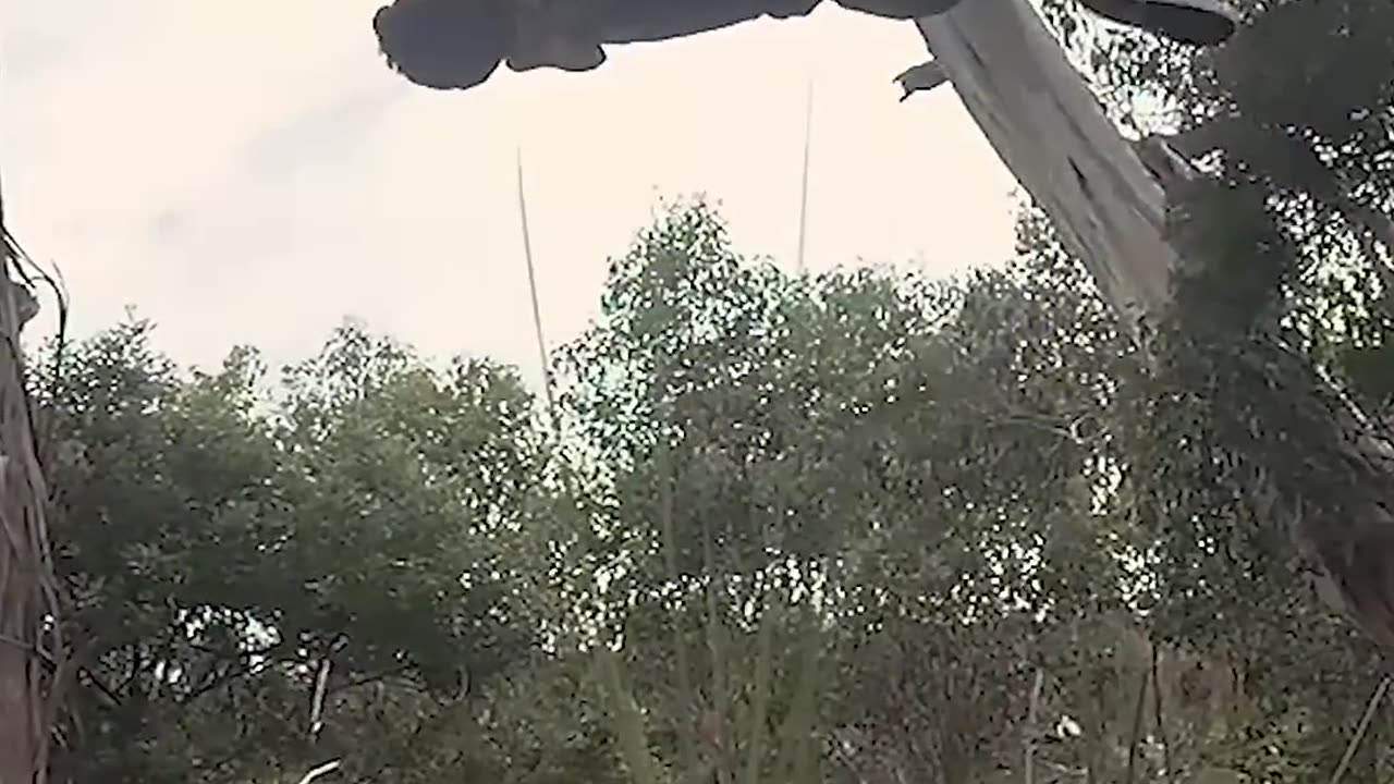 Parkour with Emojis. Pt 21