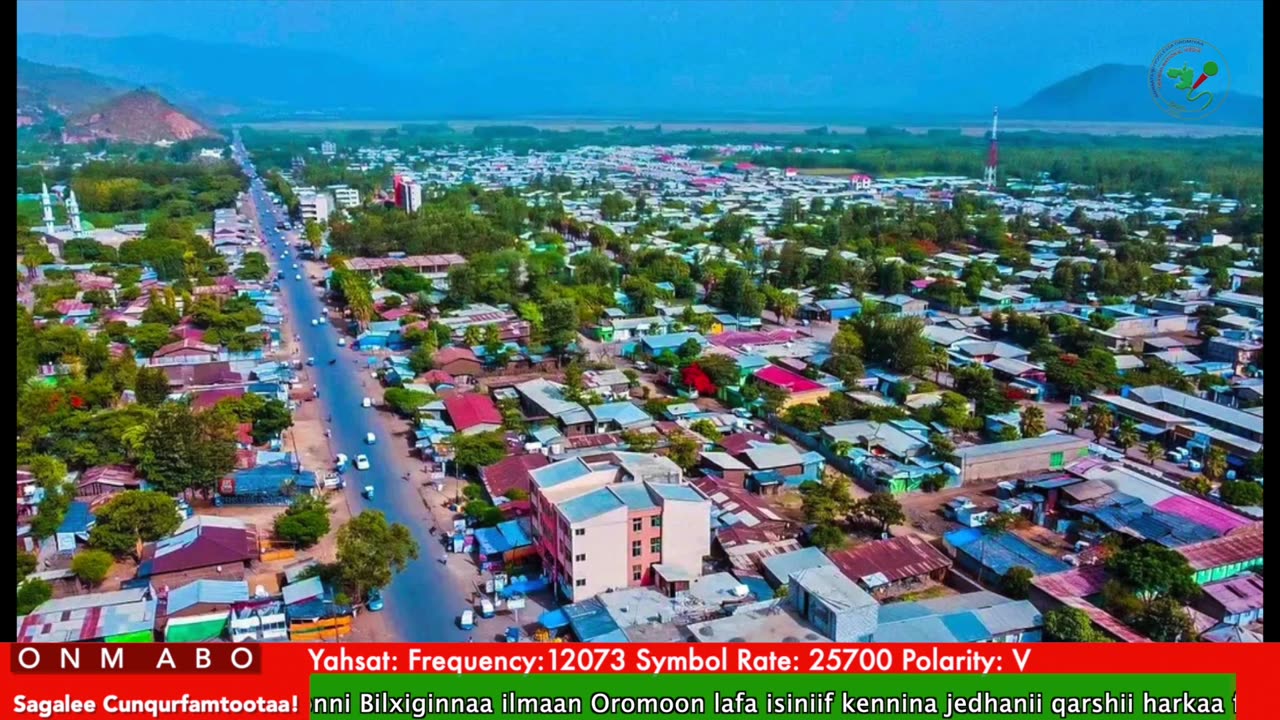 Oduu Waaree ONM-ABO Onkoloolessa 6-2025 itti dhiyaadhaa!