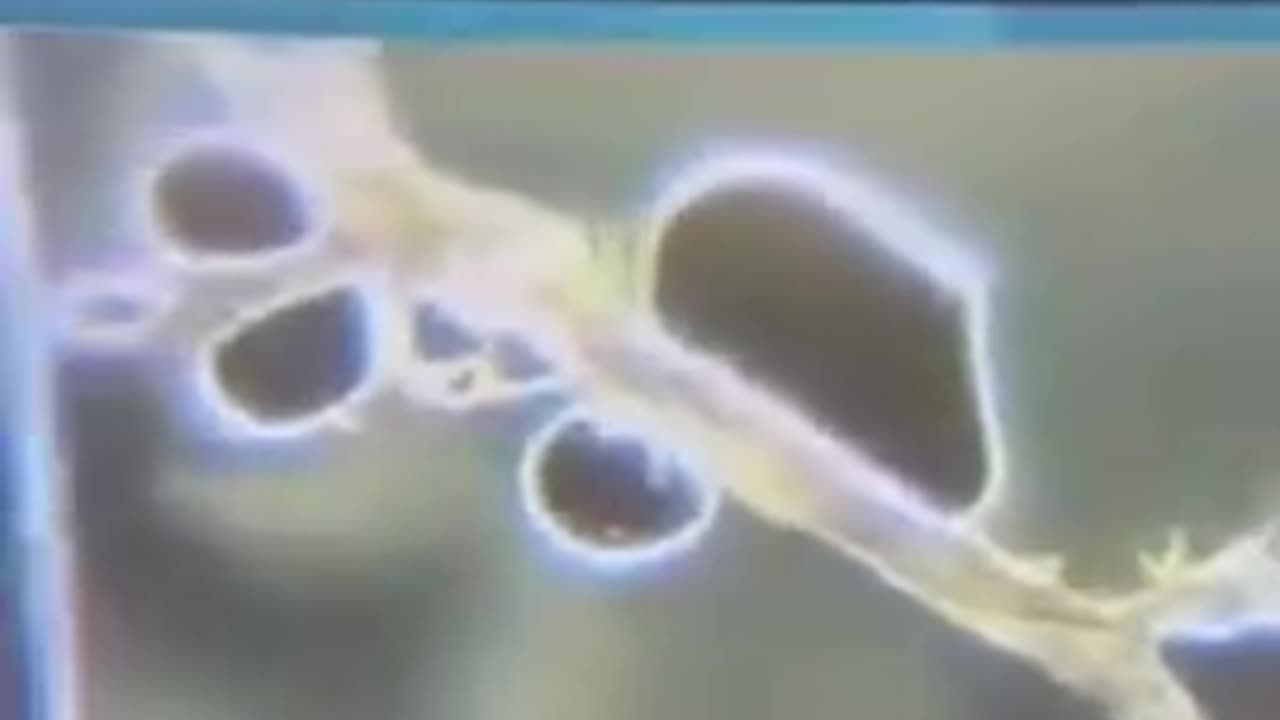 LIPID NANO PARTICLES.. MRNA