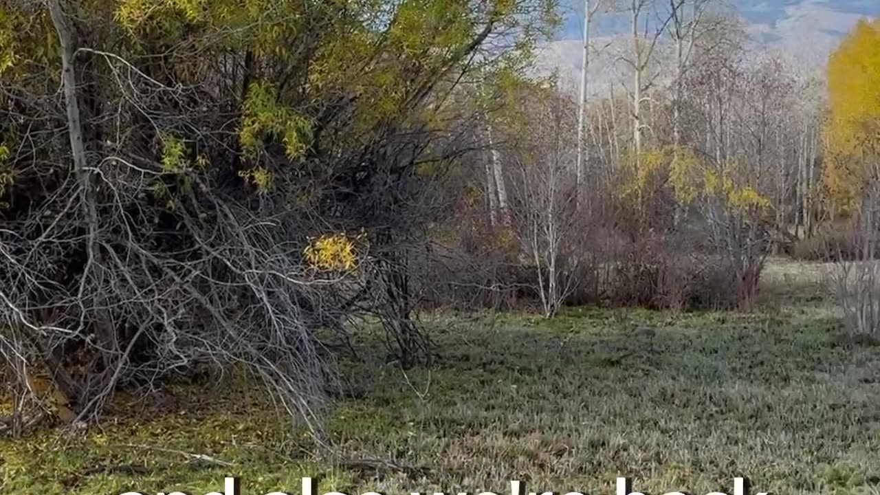 .600 Nitro: Big bore recoil demo!