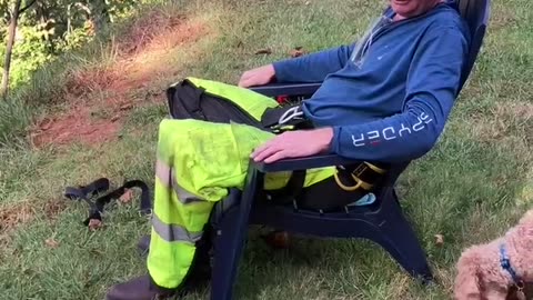 Tree trimming