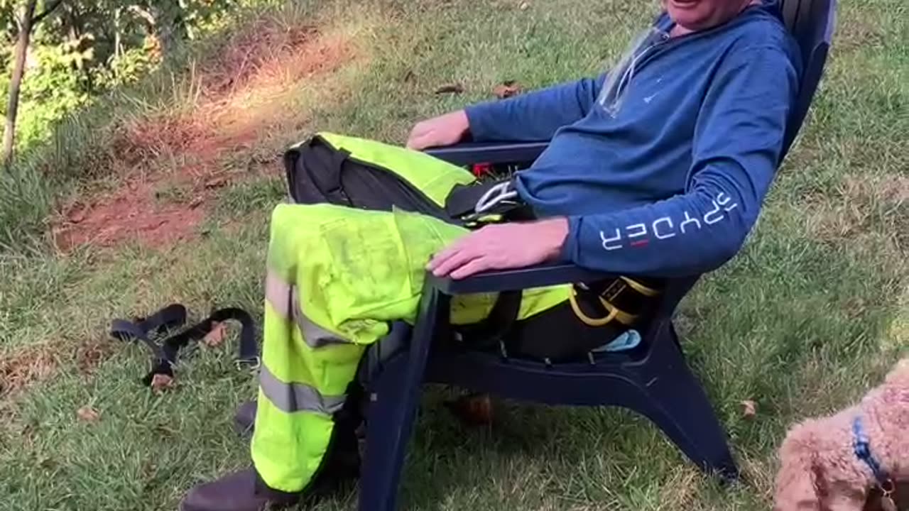Tree trimming