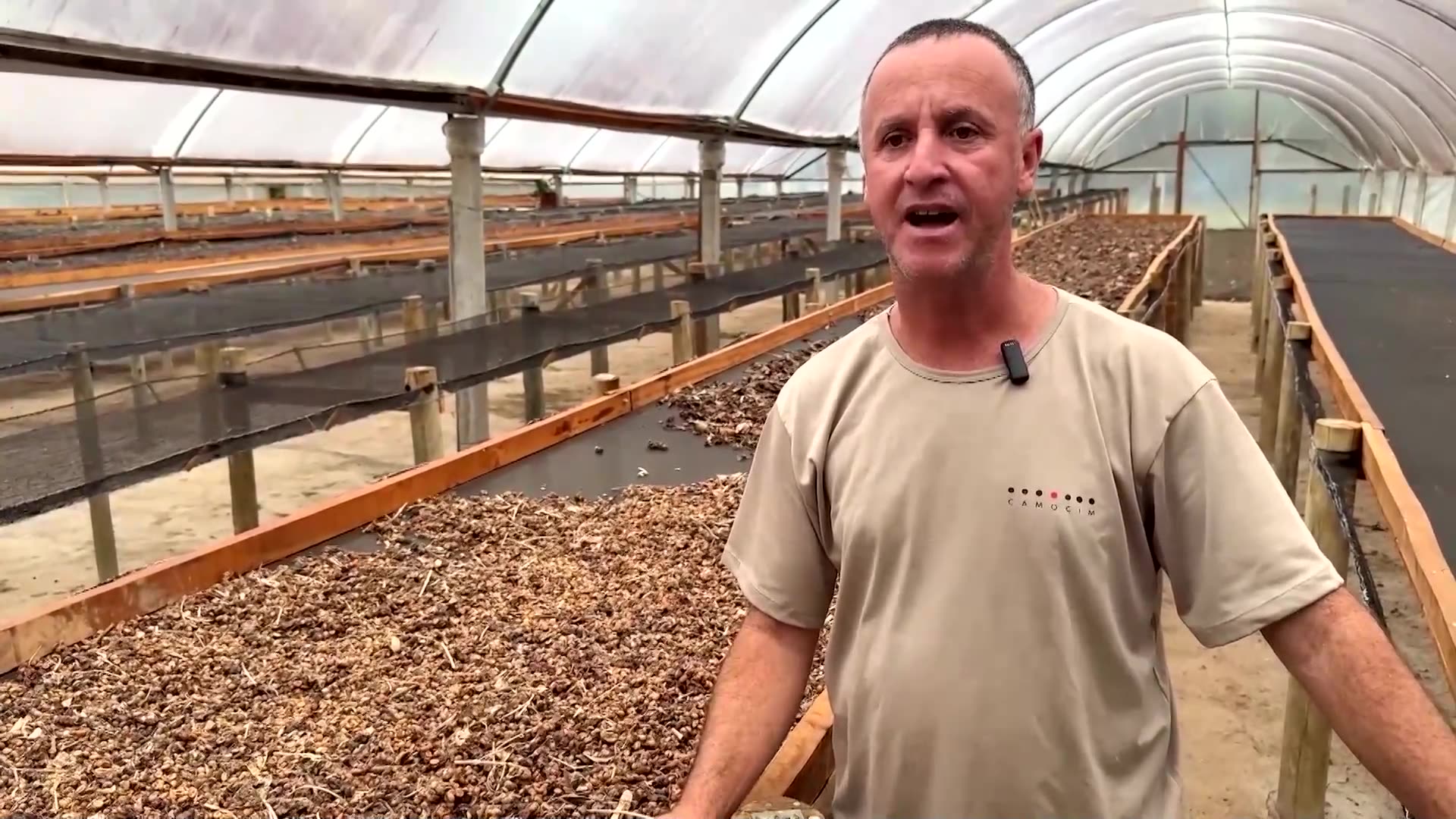 How a coffee made from bird poo in Brazil is beating Trumps tariffs