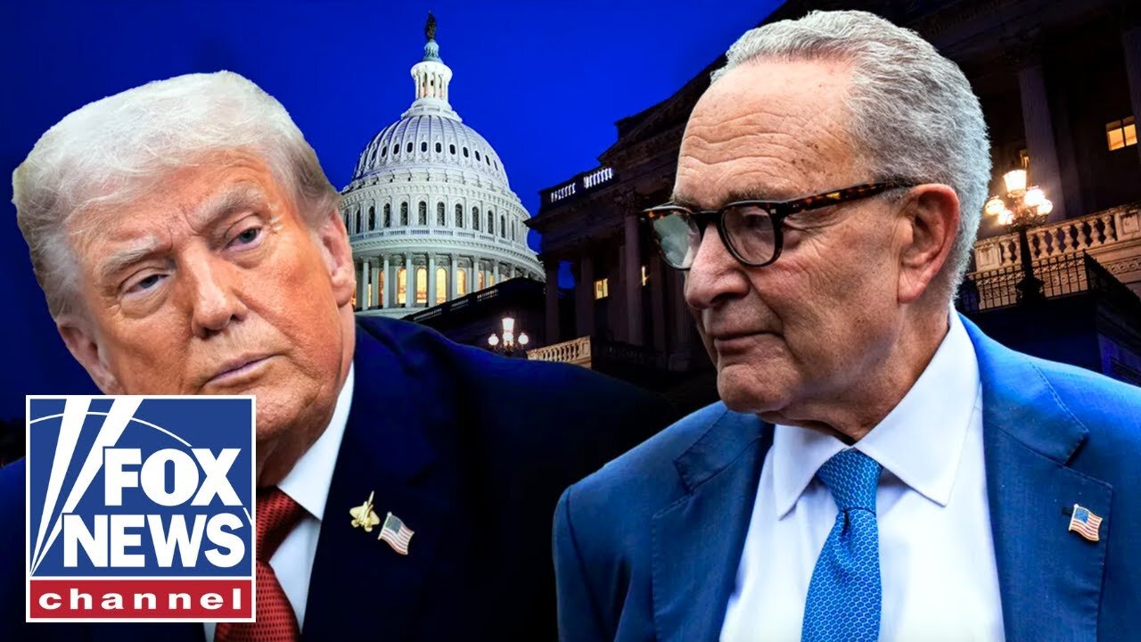 'NO DOUBT ABOUT IT': Dems blasted for putting 'partisan' politics first amid shutdown