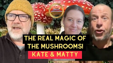 The REAL Magic of the Mushrooms… - 27th Jan 2026