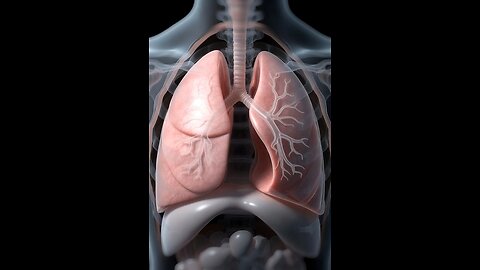 Ultra-realistic 3D animation of human lungs #3dmedico