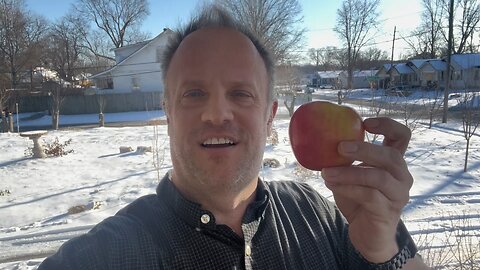 Grow Apple Trees from Store-Bought Apples