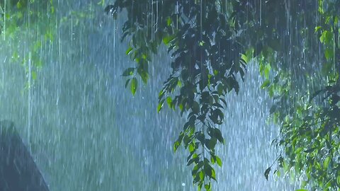 Hujan malam suara hujan buat hati tenang