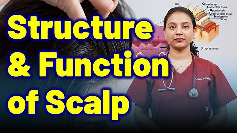 Structure and Function of Scalp.| Treatment Cure Relief Medicine | Skin Hair Nail |