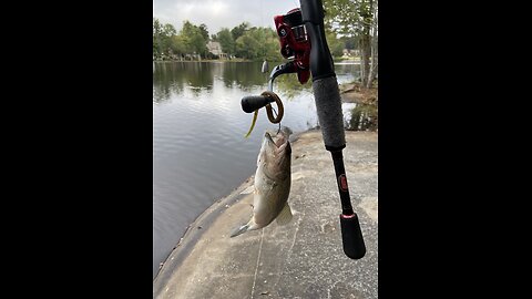 Restored Lew's reel found in a lake - works Great!!