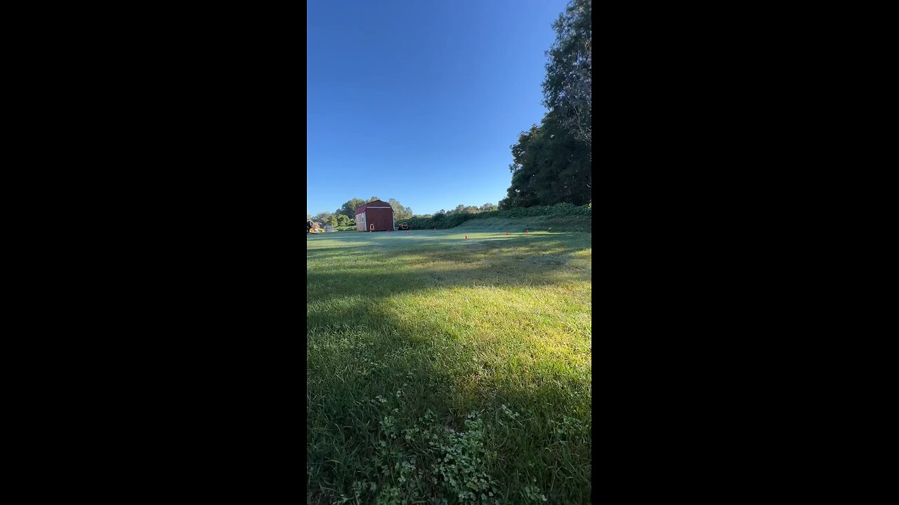Timelapse: Setting up my storage building