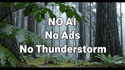 Heavy Rainfall in Ancient Forest | 10 Hours No Ads, No AI, No Thunder