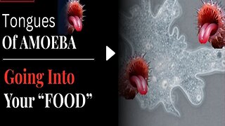Tongues of Amoeba |Going into Your “Food”
