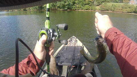 BT Brown, small bass