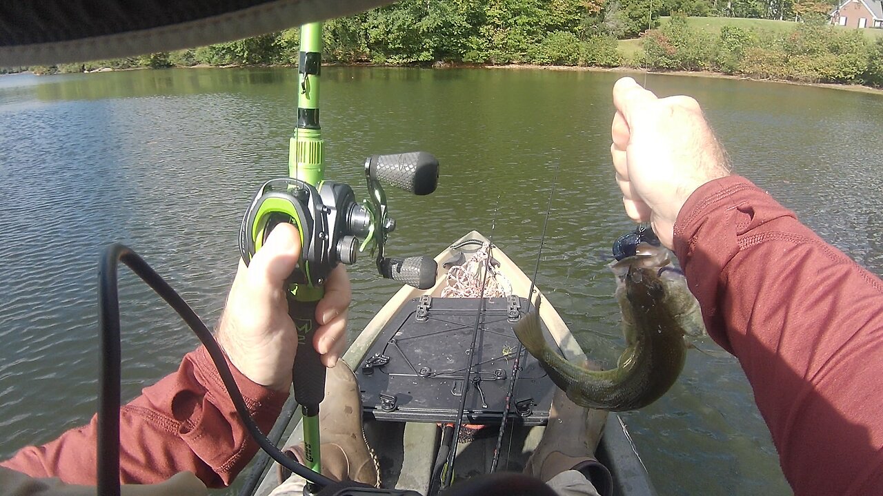 BT Brown, small bass